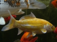 [Bild Unterwasser 15]